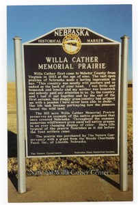 Image description is not available for PHO-264-892